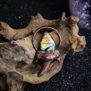 Shark Tooth Pendant Topped with Beautiful Labradorite